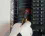 61-657PanelRed.jpg